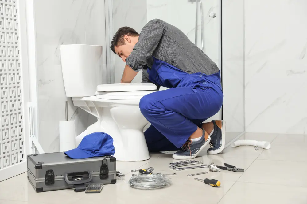 Toilet Installation in Catalpa Canyon